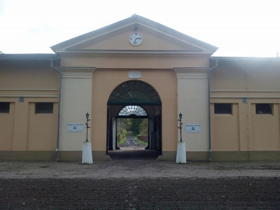 Hotel Stado Ogierów Sieraków Sierakow  Exterior foto